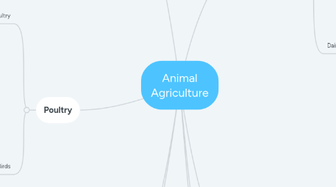 Mind Map: Animal Agriculture