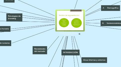 Mind Map: ANÁLISIS DE SEGMENTACIÓN DE MERCADO