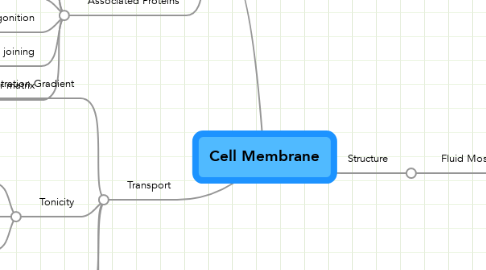 Mind Map: Cell Membrane