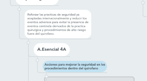 Mind Map: Acciones Esenciales para la seguridad del paciente en el entorno hospitalario