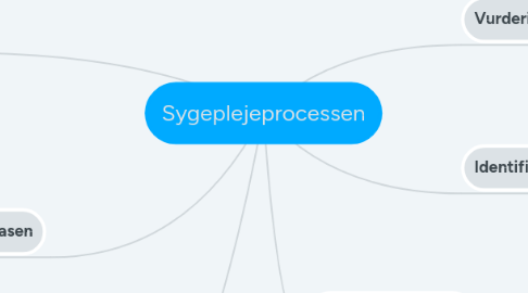 Mind Map: Sygeplejeprocessen