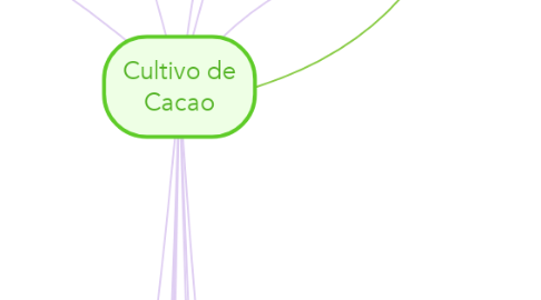Mind Map: Cultivo de Cacao