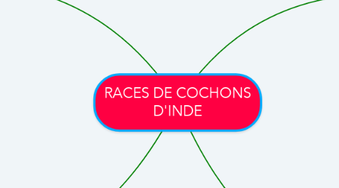 Mind Map: RACES DE COCHONS D'INDE