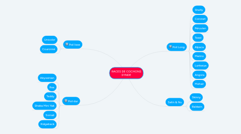 Mind Map: RACES DE COCHONS D'INDE