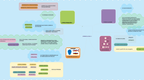 Mind Map: EMBRIOLOGIA