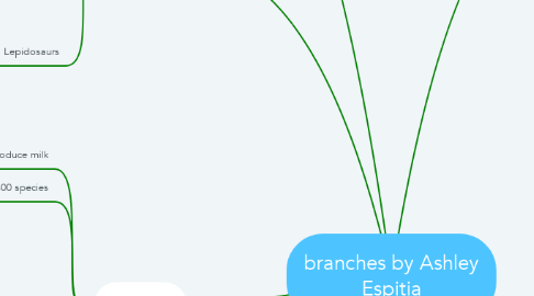 Mind Map: branches by Ashley Espitia