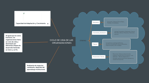 Mind Map: CICLO DE VIDA DE LAS ORGANIZACIONES