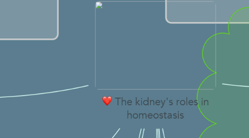 Mind Map: The kidney's roles in homeostasis