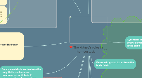 Mind Map: The kidney's roles in homeostasis