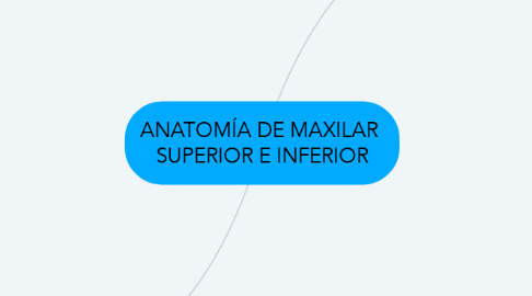 Mind Map: ANATOMÍA DE MAXILAR  SUPERIOR E INFERIOR