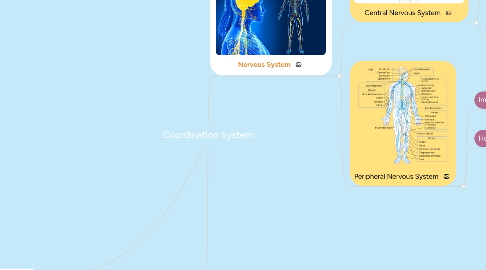 Mind Map: Coordination System