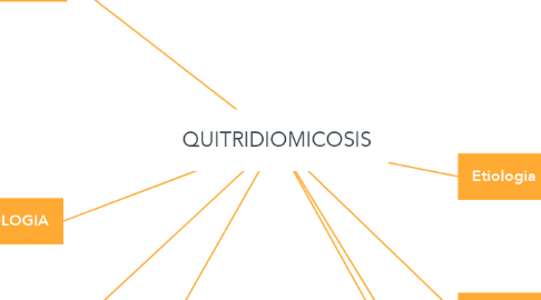 Mind Map: QUITRIDIOMICOSIS