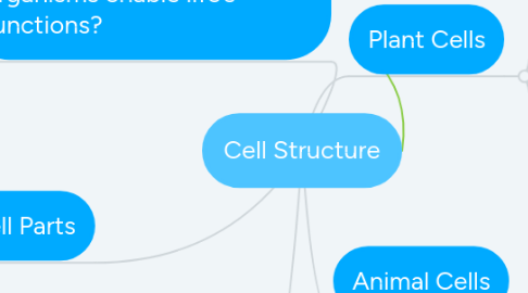 Mind Map: Cell Structure