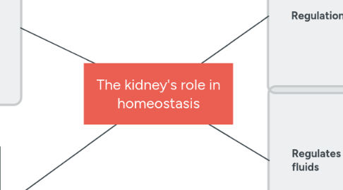 Mind Map: The kidney's role in homeostasis