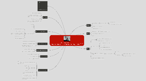 Mind Map: Peter van Stolk:  Riding the Roller Coaster of Business, Branding and Life