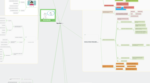 Mind Map: Mujer Raizal