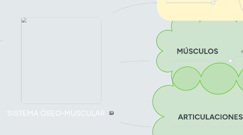 Mind Map: SISTEMA ÓSEO-MUSCULAR