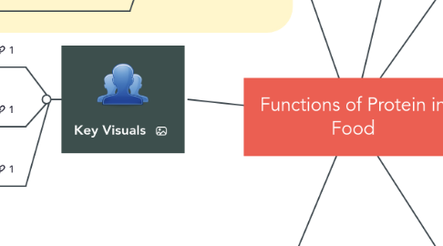 Mind Map: Functions of Protein in Food