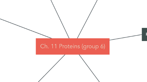 Mind Map: Ch. 11 Proteins (group 6)