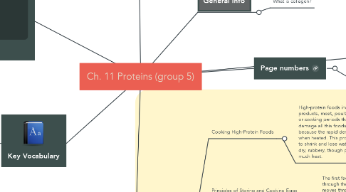 Mind Map: Ch. 11 Proteins (group 5)