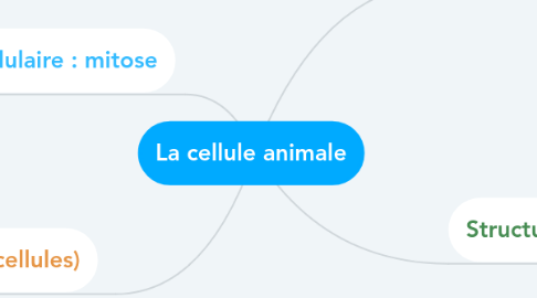 Mind Map: La cellule animale