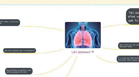 Mind Map: Les poumons