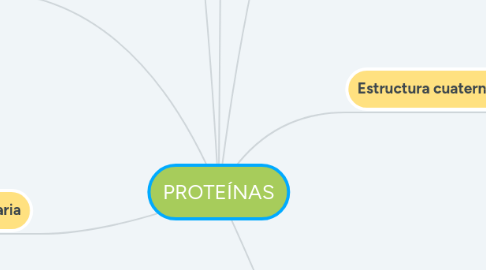 Mind Map: PROTEÍNAS