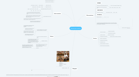 Mind Map: Cámara de comercio