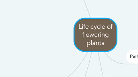 Mind Map: Life cycle of flowering plants