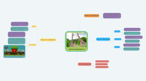 Mind Map: Animal Adaptations