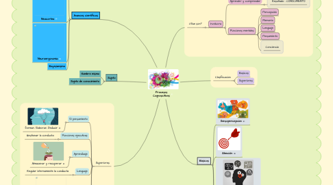 Mind Map: Procesos Cognoscitivos