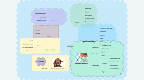 Mind Map: BIOÉTICA