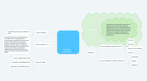 Mind Map: Procesos cognoscitivos