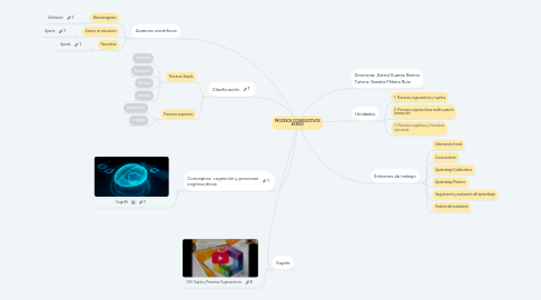 Mind Map: PROCESOS COGNOSCITIVOS 403003