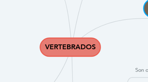 Mind Map: VERTEBRADOS