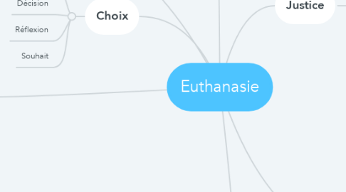 Mind Map: Euthanasie