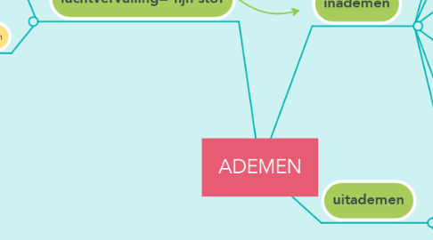 Mind Map: ADEMEN