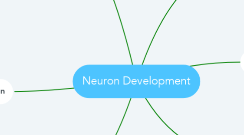 Mind Map: Neuron Development