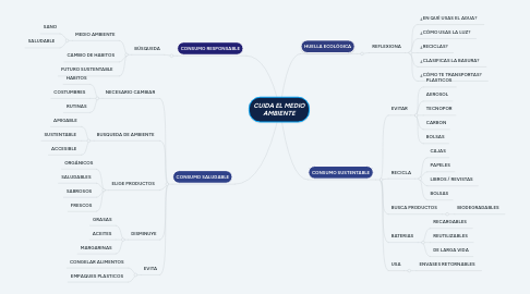 Mind Map: CUIDA EL MEDIO AMBIENTE