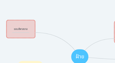 Mind Map: ฝ้าย