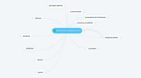 Mind Map: PROCESOS COGNOSITIVOS