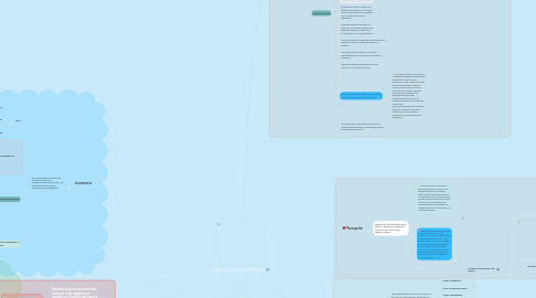 Mind Map: PROCESOS COGNITIVOS