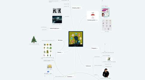 Mind Map: El concepto