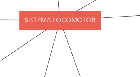 Mind Map: SISTEMA LOCOMOTOR