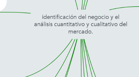 Mind Map: identificación del negocio y el análisis cuantitativo y cualitativo del mercado.
