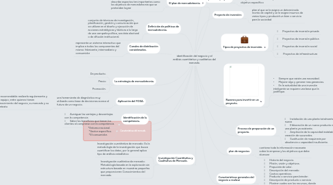 Mind Map: identificación del negocio y el análisis cuantitativo y cualitativo del mercado.