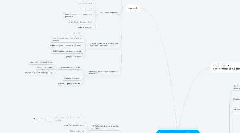 Mind Map: Sist. de Gestão Ambiental