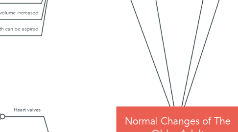 Mind Map: Normal Changes of The Older Adult