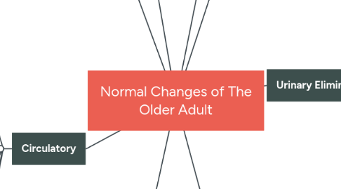 Mind Map: Normal Changes of The Older Adult