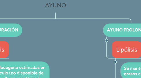 Mind Map: AYUNO